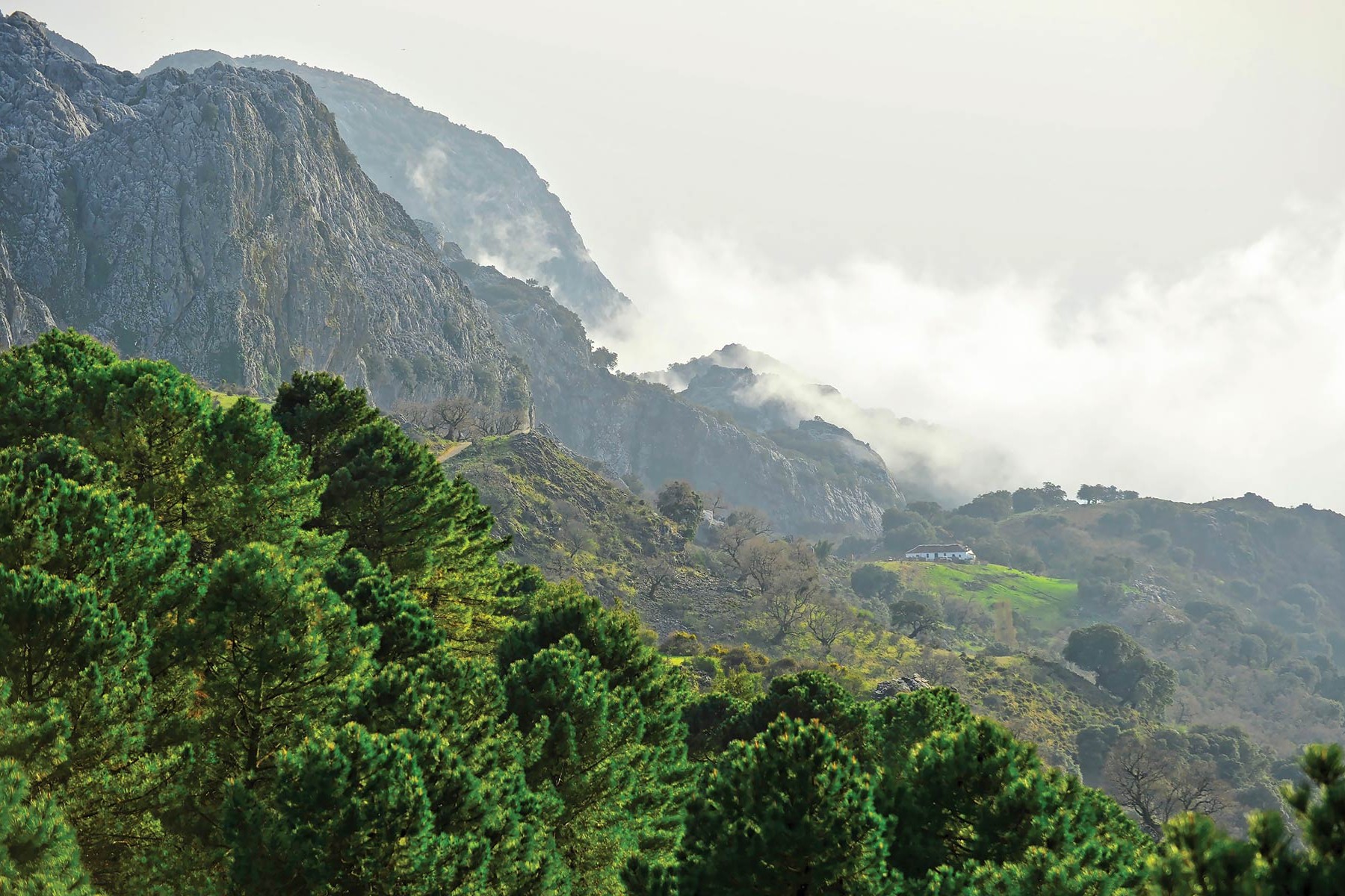 Grazalema