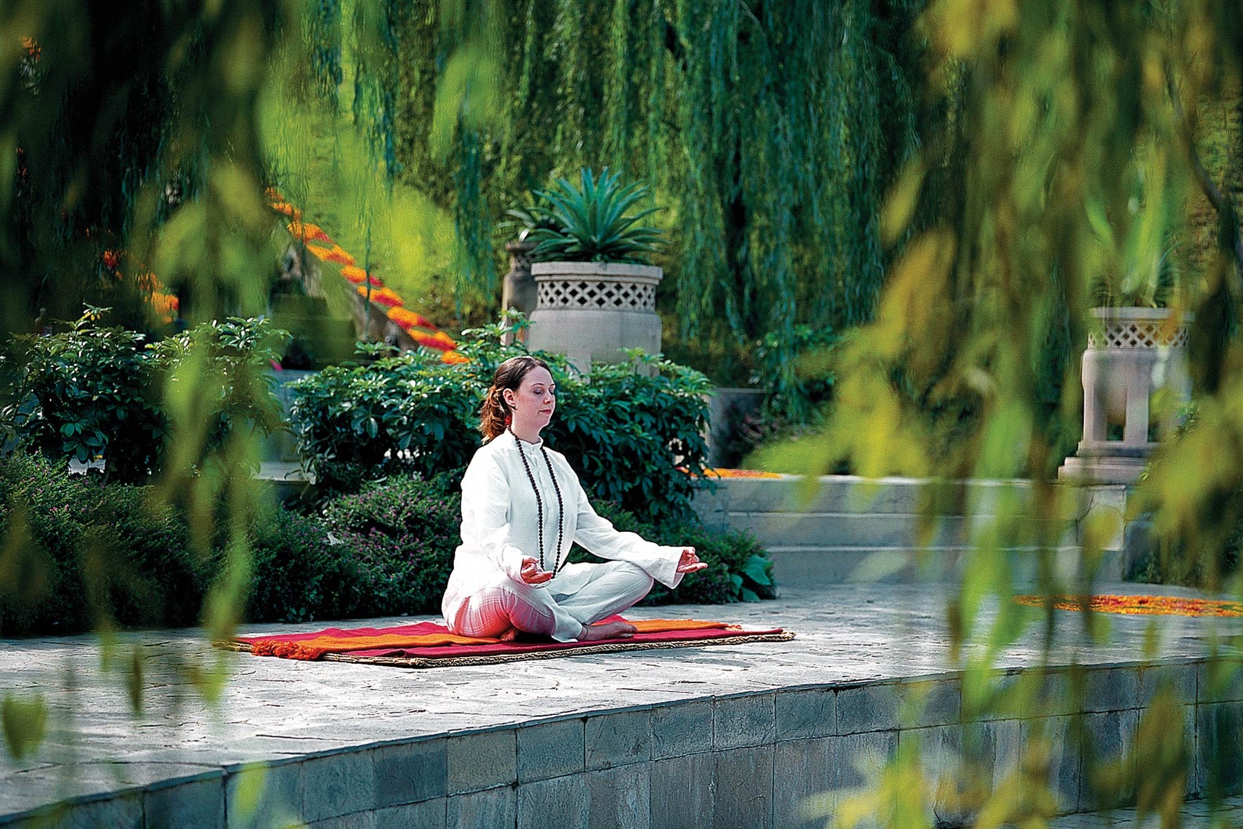 Wellness Retreats
