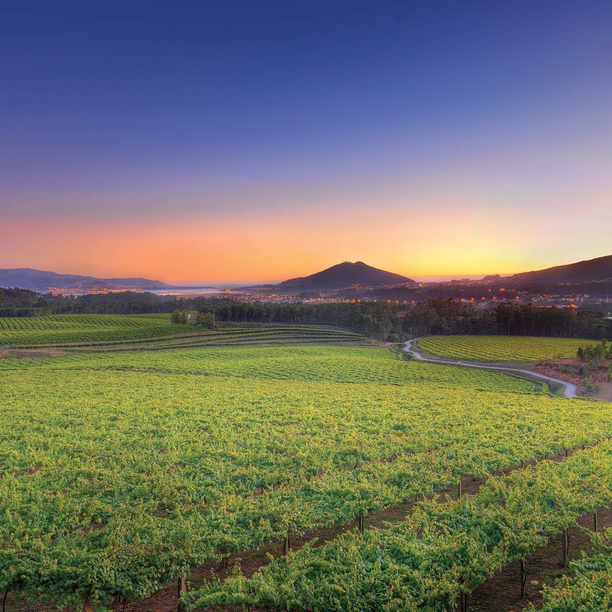 La Rioja Alta