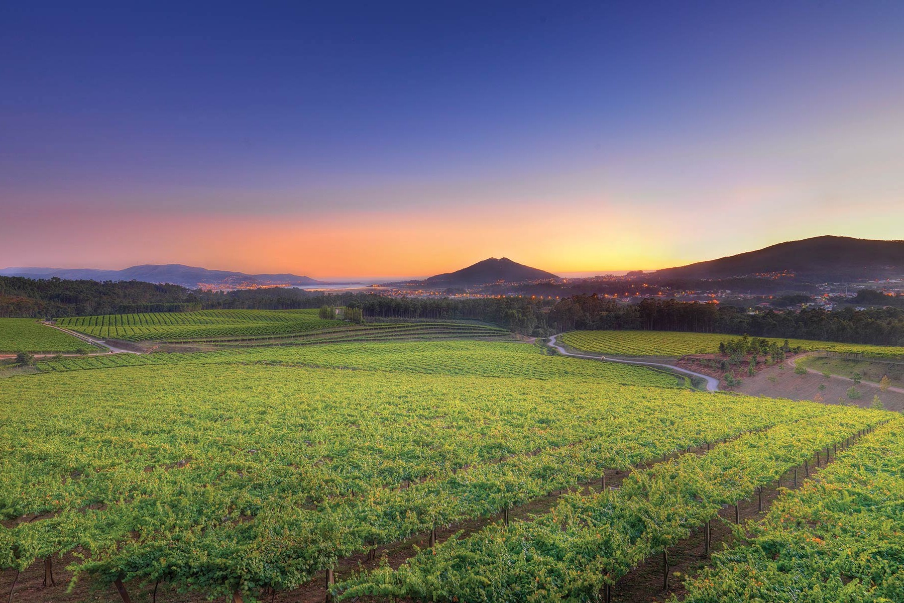 La Rioja Alta