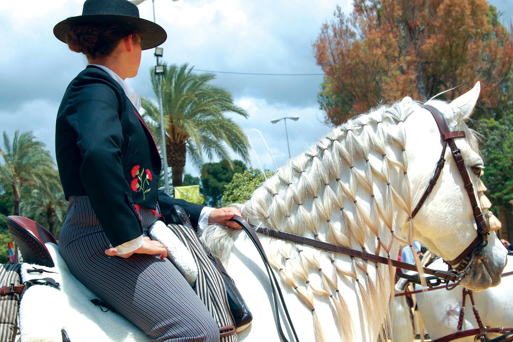 Jerez