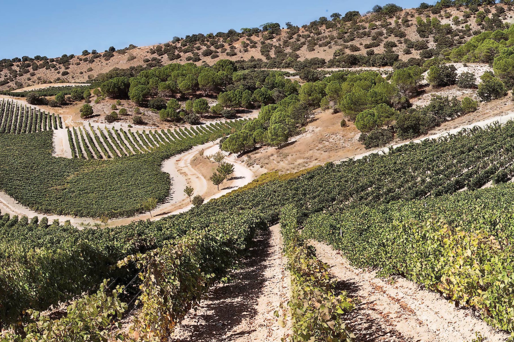 Quinta Sardonia