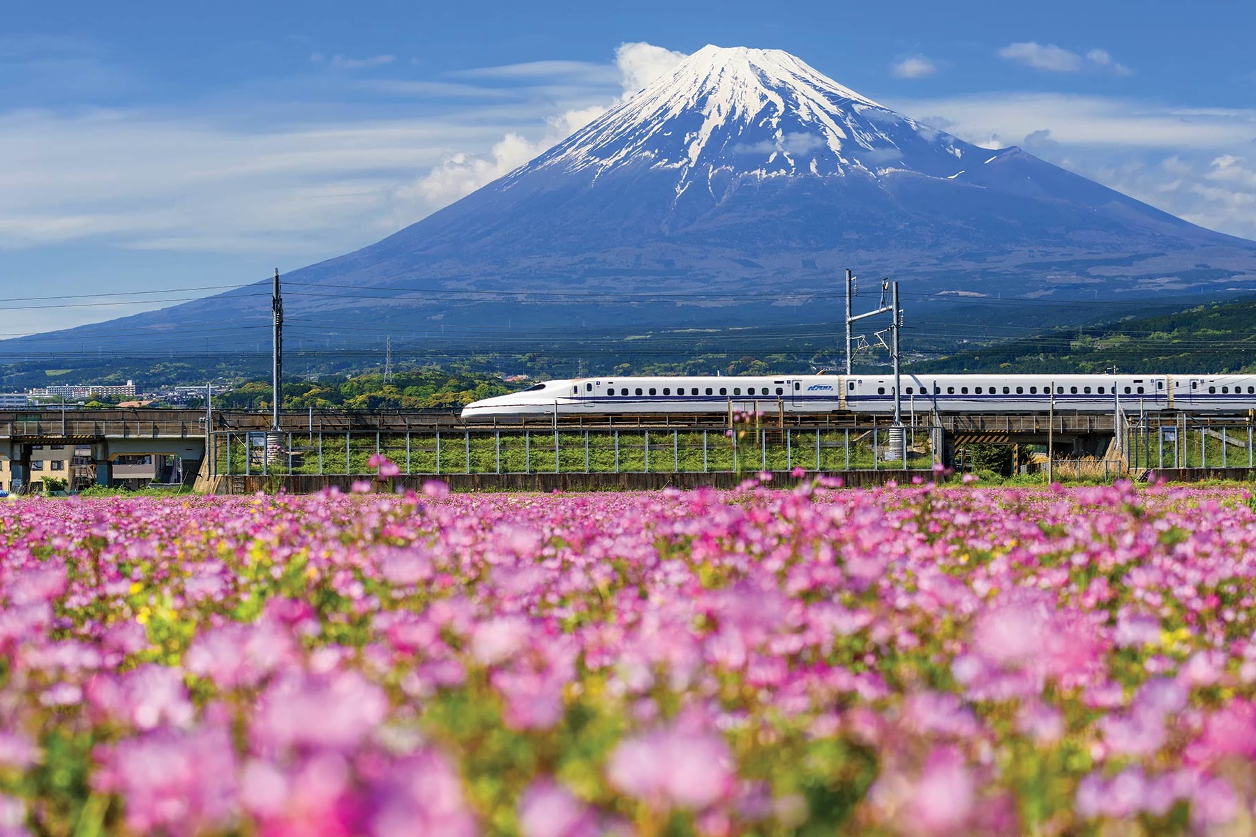 Cool Travel