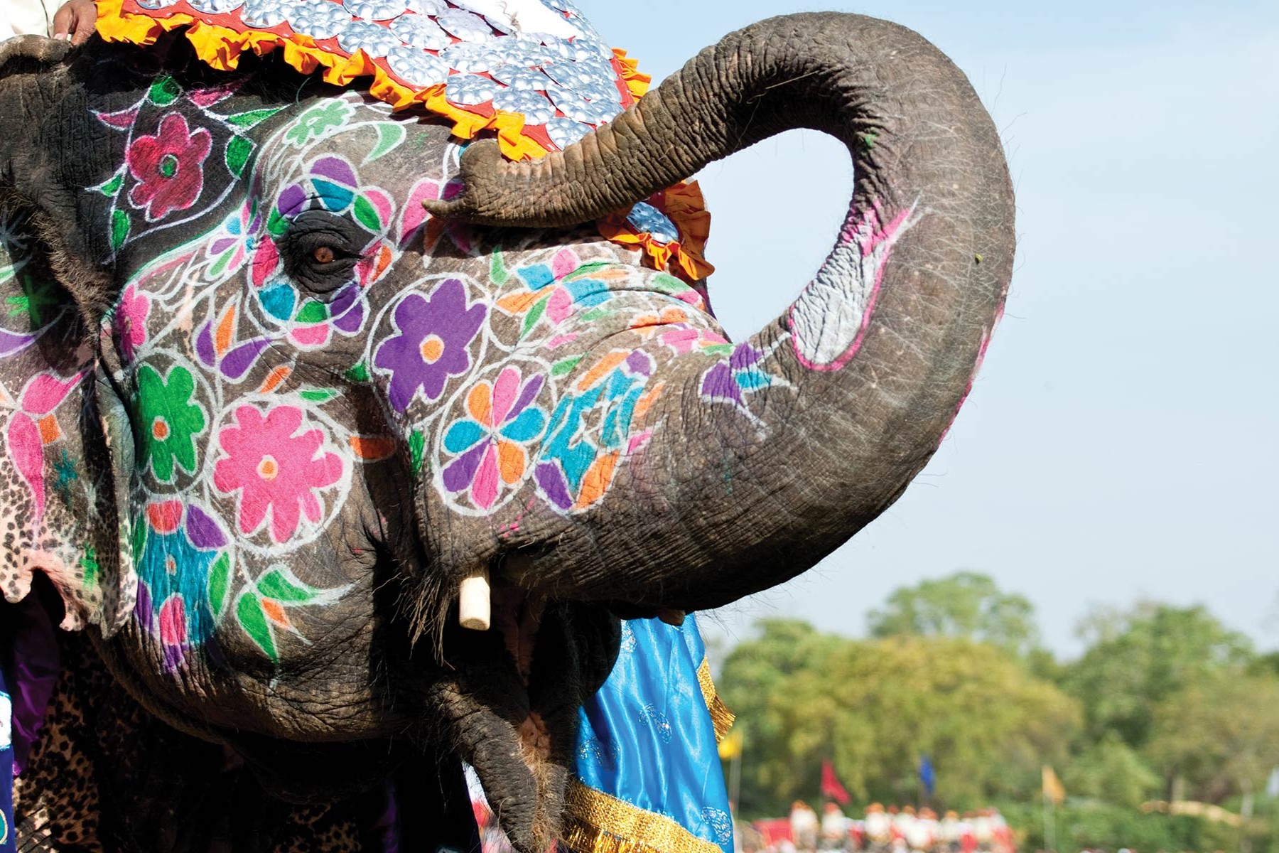 Festivals
