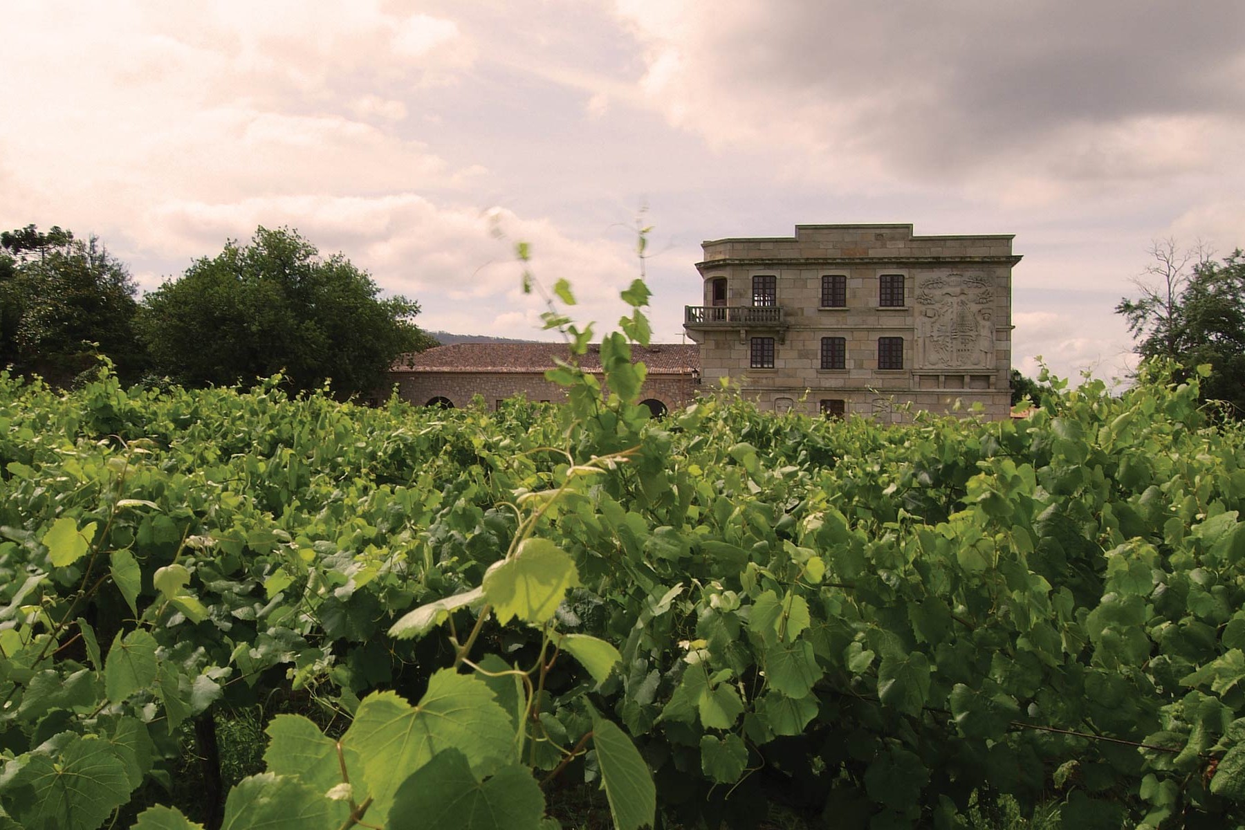 Albariño