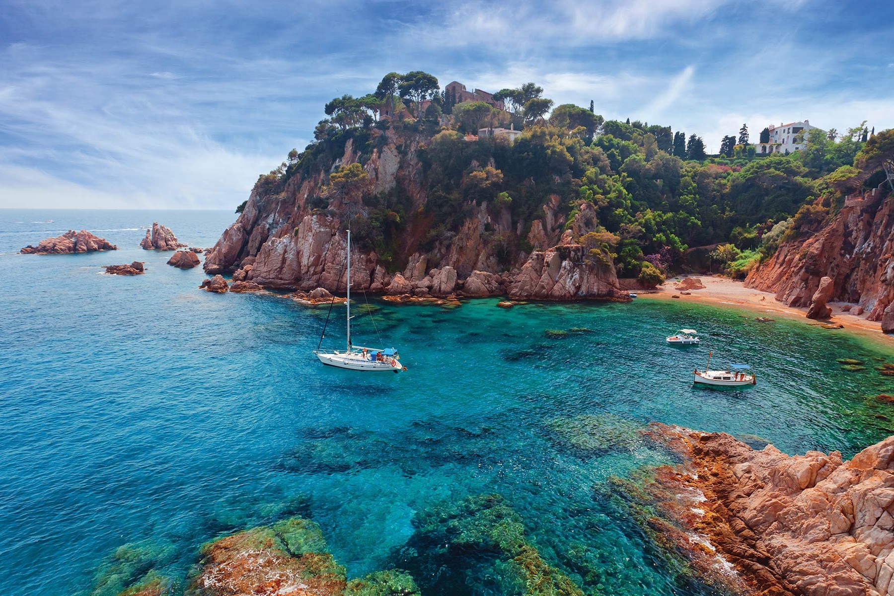 Saving the Mediterranean