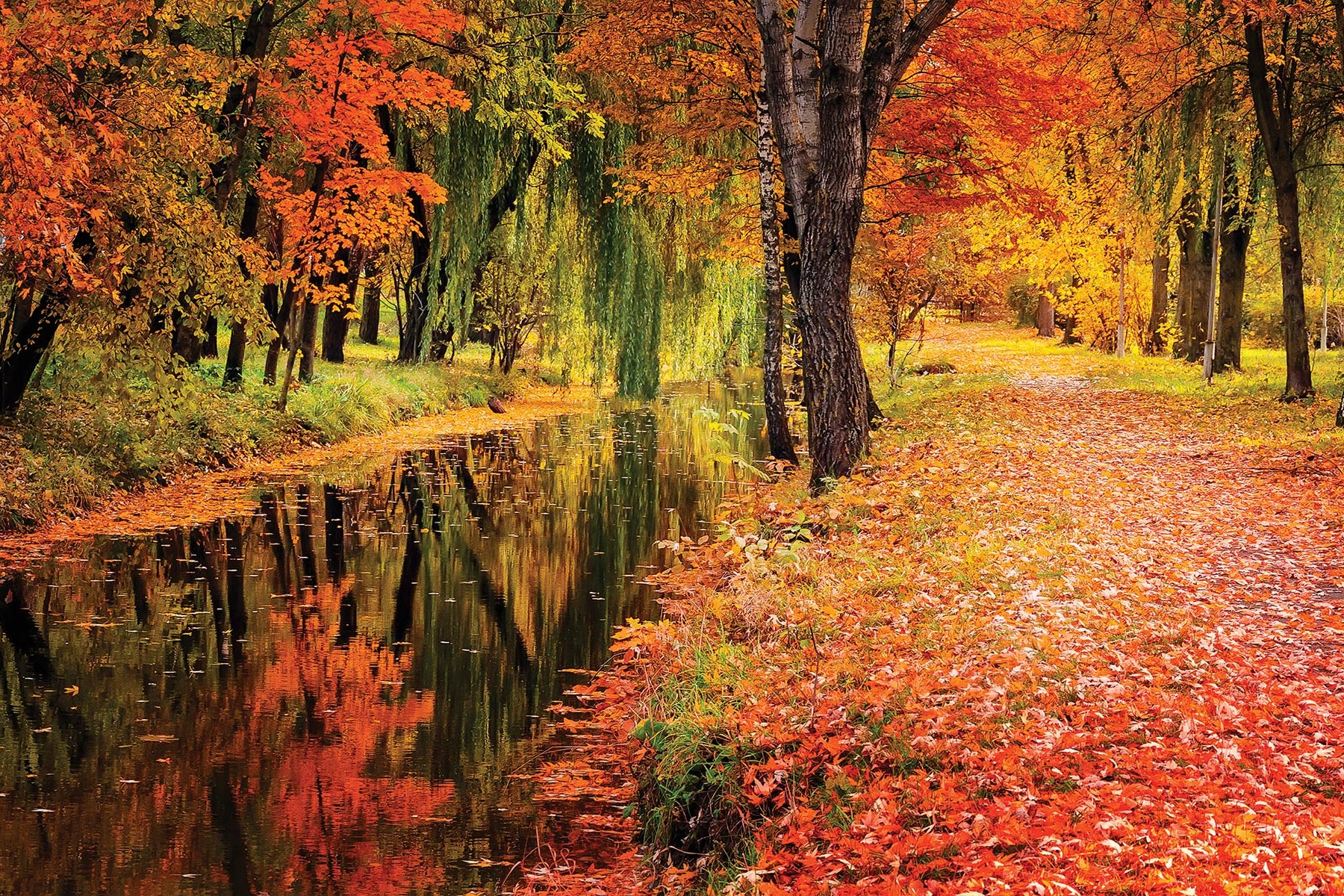 Autumn in Andalucía