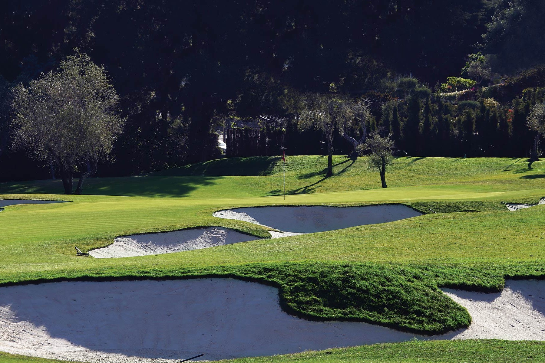 Golf Course Design