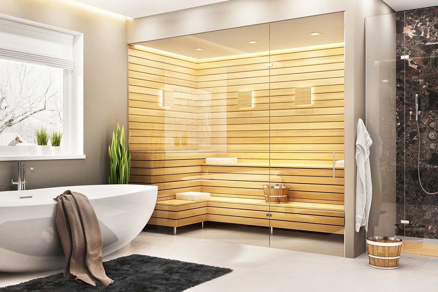 Modern Saunas