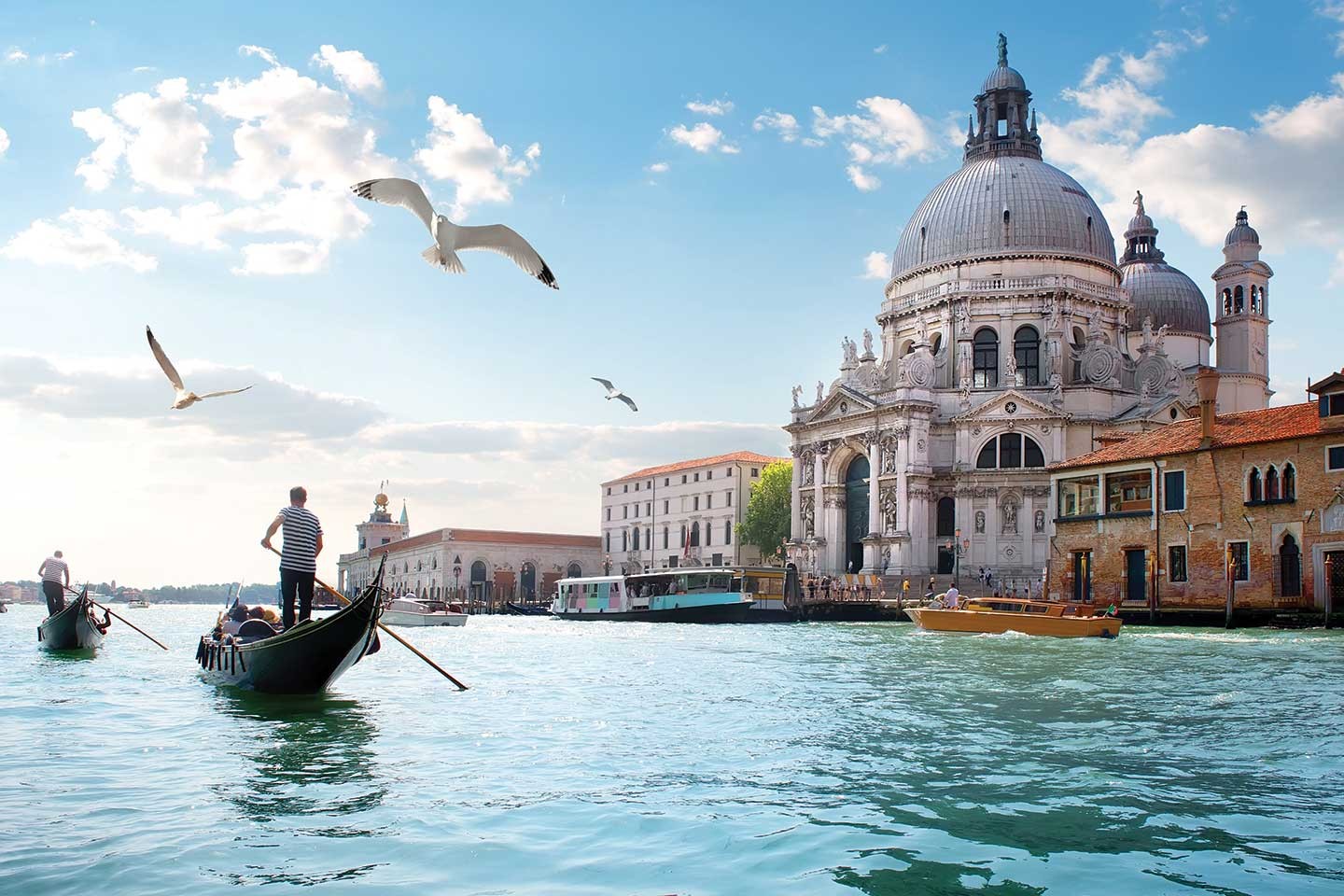 Venice