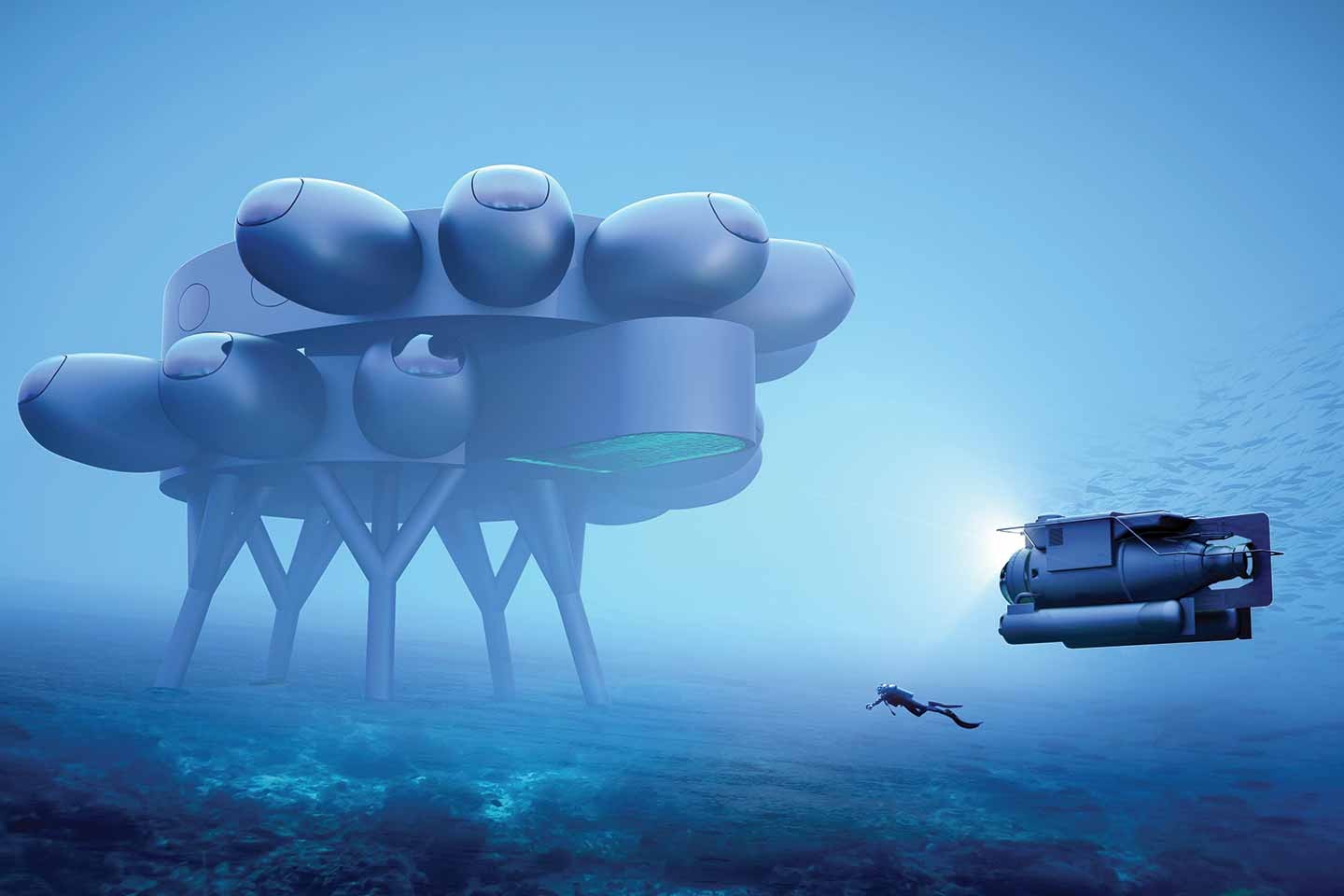 Proteus