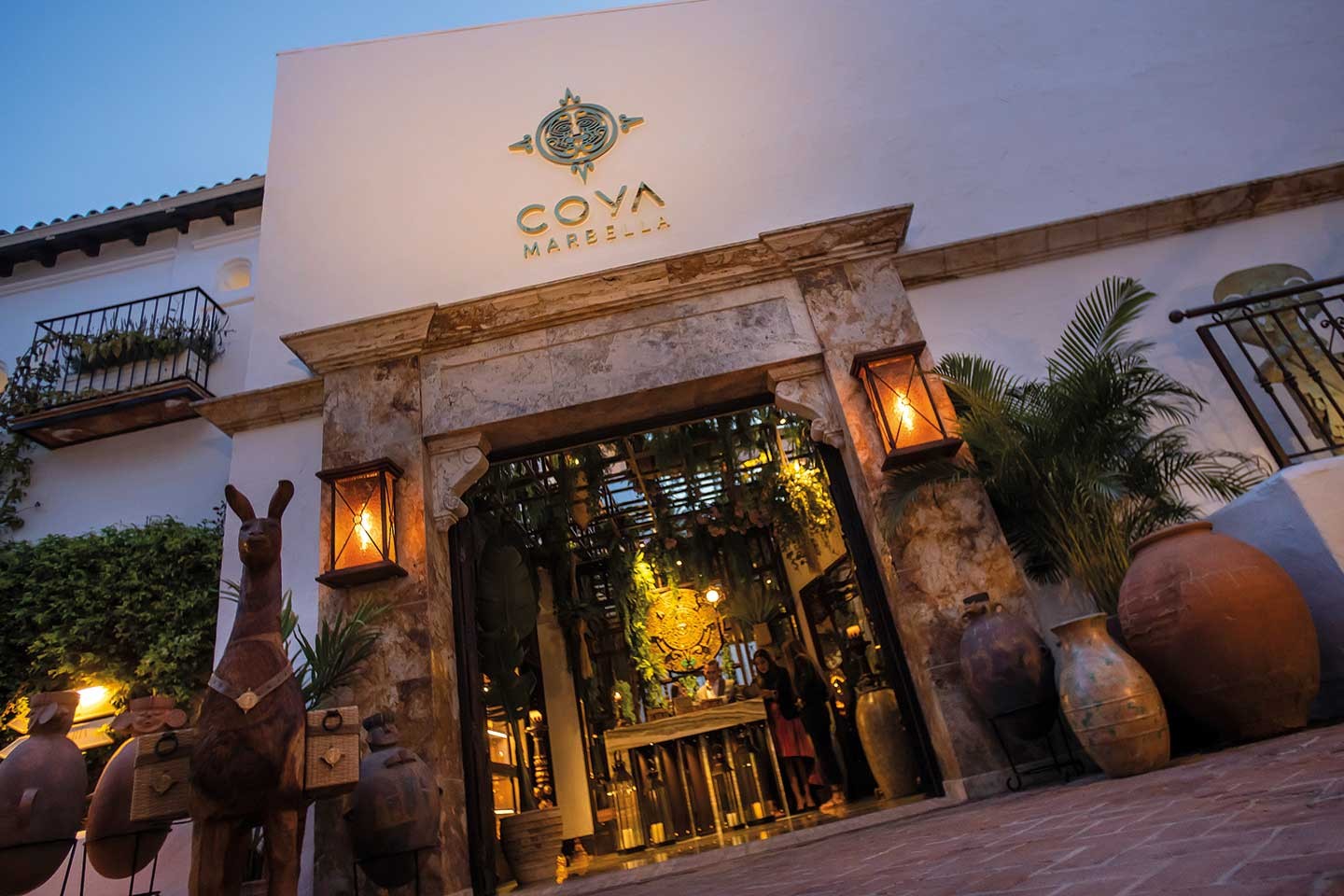 Coya