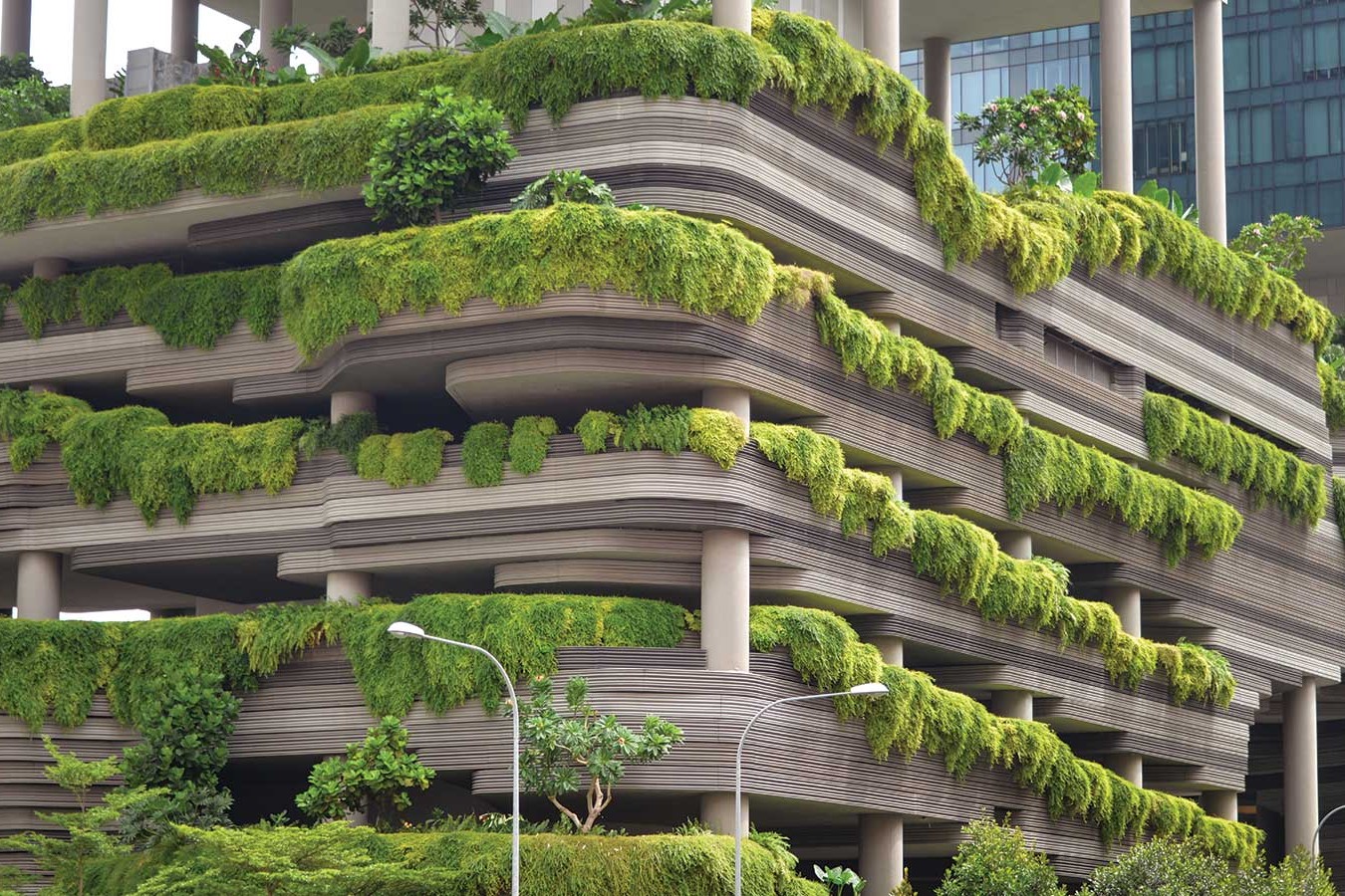 Vertical Gardens
